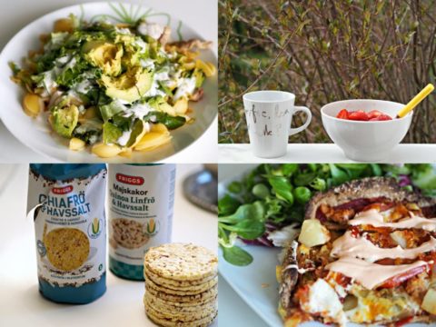 TANKKAUSPÄIVÄN RUOKAPÄIVÄKIRJA