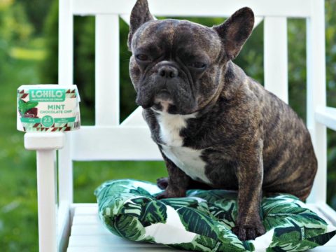 RUOKAPÄIVÄKIRJA – MITEN SYÖN KUN EN TREENAA